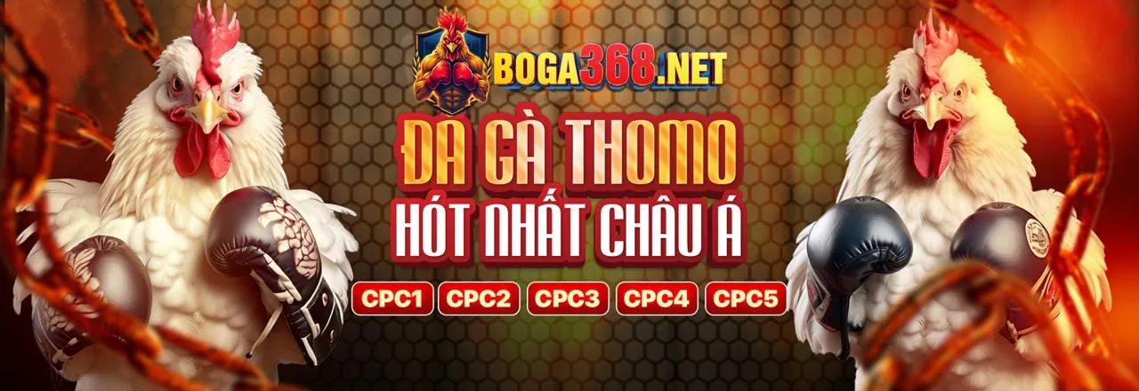 Các nguyên tắc chính của GDPR tại vip777 win